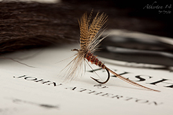 Fly by Roger Enger Lie