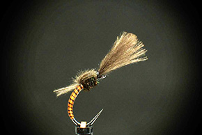 Fly by Bengt Jansson