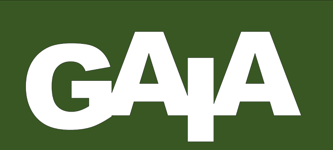 The Irish Fly Fair - GAIA Photobook made by Elaine Munn