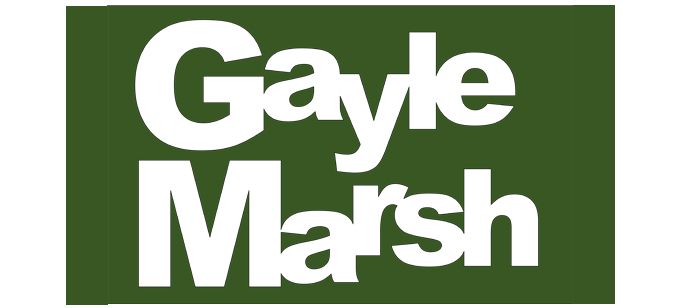 The Irish Fly Fair 3 pages of images taken by Gayle Marsh